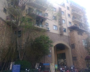 麓山国际SOLO公寓 1室0厅 西南