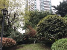 和泓四季C区 1室2厅 东南