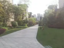 金科品质,清水房,楼层好,采光好,环境优美