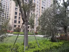 电梯房,品质小区,环境优美,精装修,视野好