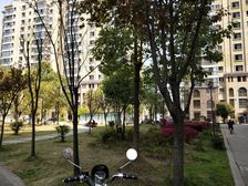 天旭逸城二期 3室1厅 东南