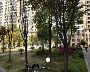 天旭逸城二期 2室2厅 东南