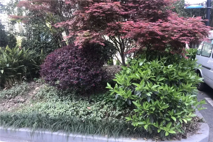 同景国际城g组团