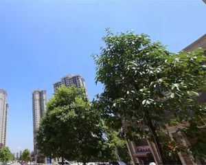蓝润V客尚东二期4室1厅东