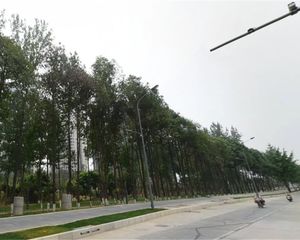蓝润V客尚东二期4室1厅东