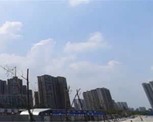 蓝光公园悦庭 4室2厅 南