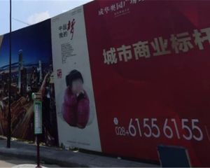 蓝光公园悦庭 3室2厅 西