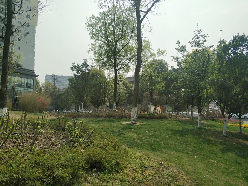 小区相关图