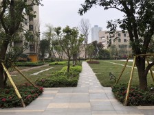 杨家坪商圈 万科品质小区 精装两房带阳台拎包入住