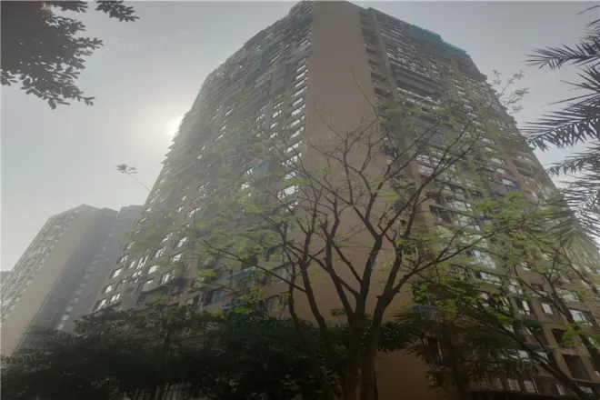兰花丽景添丁实景图