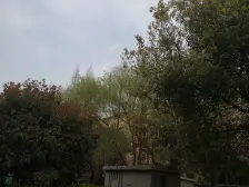 带露台,精装修,一梯两户,交通便利,南北通透