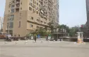兰花丽景添丁实景图