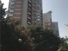 南坪商圈 顶跃精装轻轨旁看江 大跃层四房 生活便利