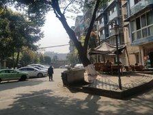 金福苑(青羊)1室1厅西南