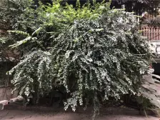 杨家坪 兴盛大厦二房