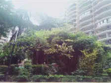 房子朝中庭,住家安静,采光好户型很方正,产权清晰。