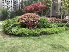 杨家坪2018年次新小区 轻轨18号线旁 精装两房