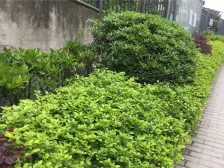 茶园新区 柏林春江二房43.6万