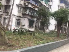 电力大厦(南岸) 3室1厅 西南