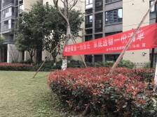 朝南一居室,高楼层,装修维护好,看两个公园,近地铁