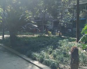 武侯祠大街4号3室2厅南