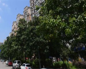 蓝光公园悦庭 3室2厅 西南