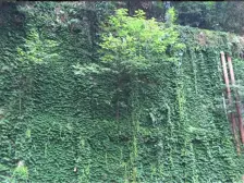 昆榆名仕城 1室0厅 东南