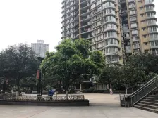 大坪 公务员小区(大黄路28号)三房150万