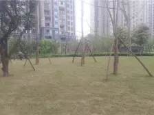 双福时代广场揽山 2室1厅 西南