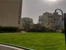 碧桂园嘉誉 1室1厅 南