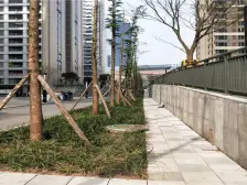 地处石桥铺,3条地铁线路,交通便利,生活配套完善。