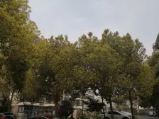 近360旁近地.铁18号线康桥站 10年小区 环境好 户型正