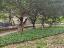 大竹林 龙湖江与城滨江组团三房205万