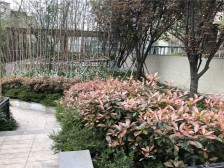 杨家坪商圈楼下轻轨 万科品质楼盘 总价低