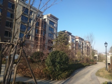 一楼带院,毛坯随意装修,带地下