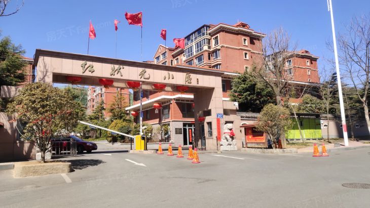 红状元实景图