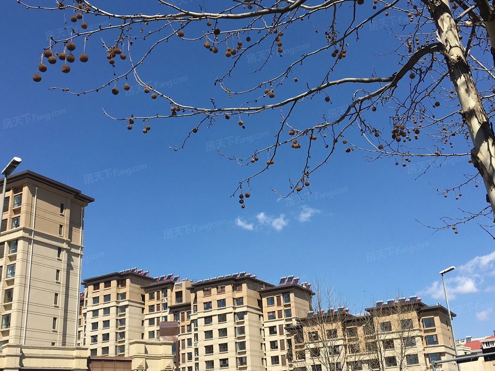 小区相关图