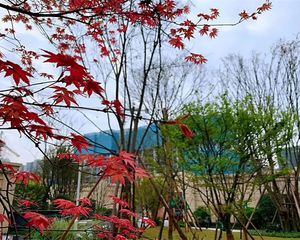 中建天府公馆4室1厅北南