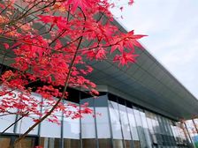 中建天府公馆1室1厅东西