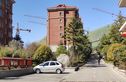 红状元实景图