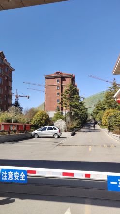 红状元实景图