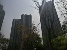 蓝润锦江春天2室1厅东南