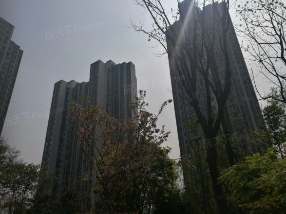 蓝润锦江春天实景图