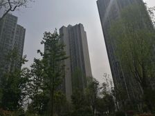 蓝润锦江春天3室1厅东南