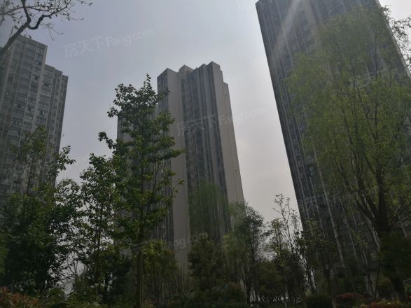 蓝润锦江春天实景图