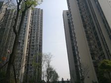 蓝润锦江春天 1室0厅 西北