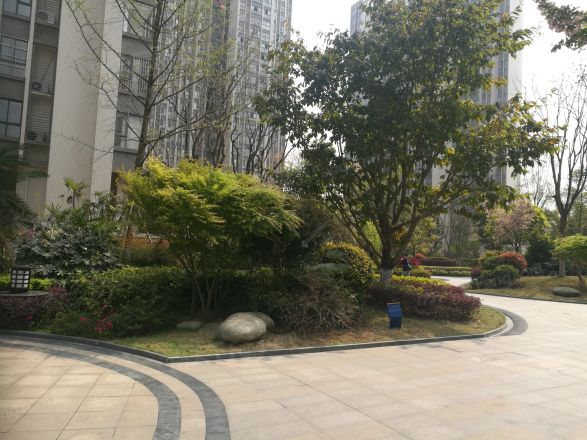 蓝润锦江春天实景图