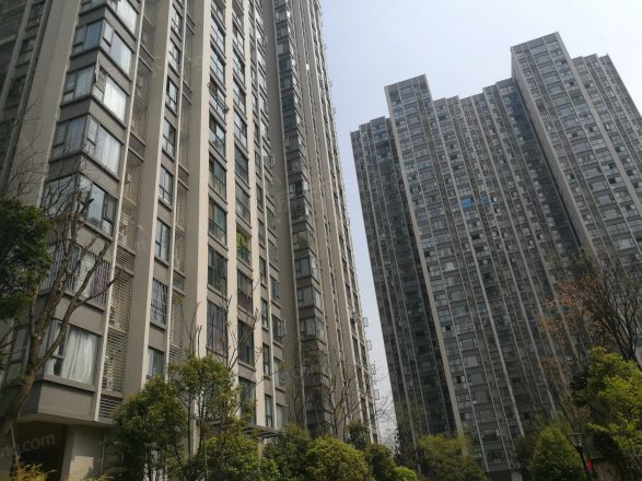 蓝润锦江春天实景图