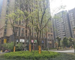 合能锦城3室2厅东南