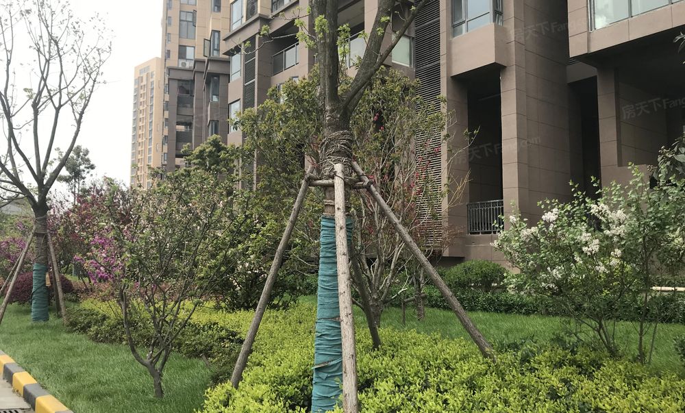 硚口区古田一路轻轨口品质小区经典两居室户型楼层采光好